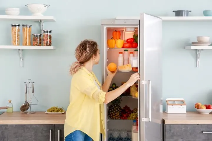 fridge maintenance tips